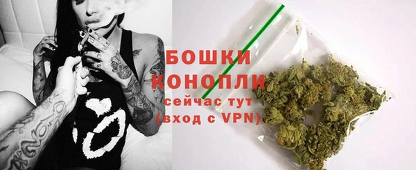 дживик Медвежьегорск