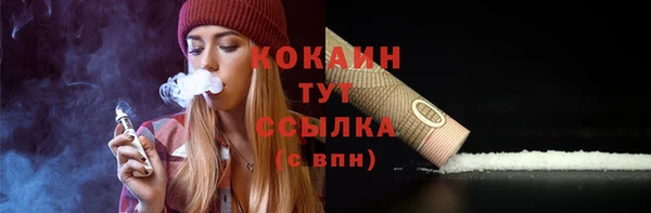 дживик Медвежьегорск
