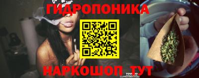 скорость Заволжье