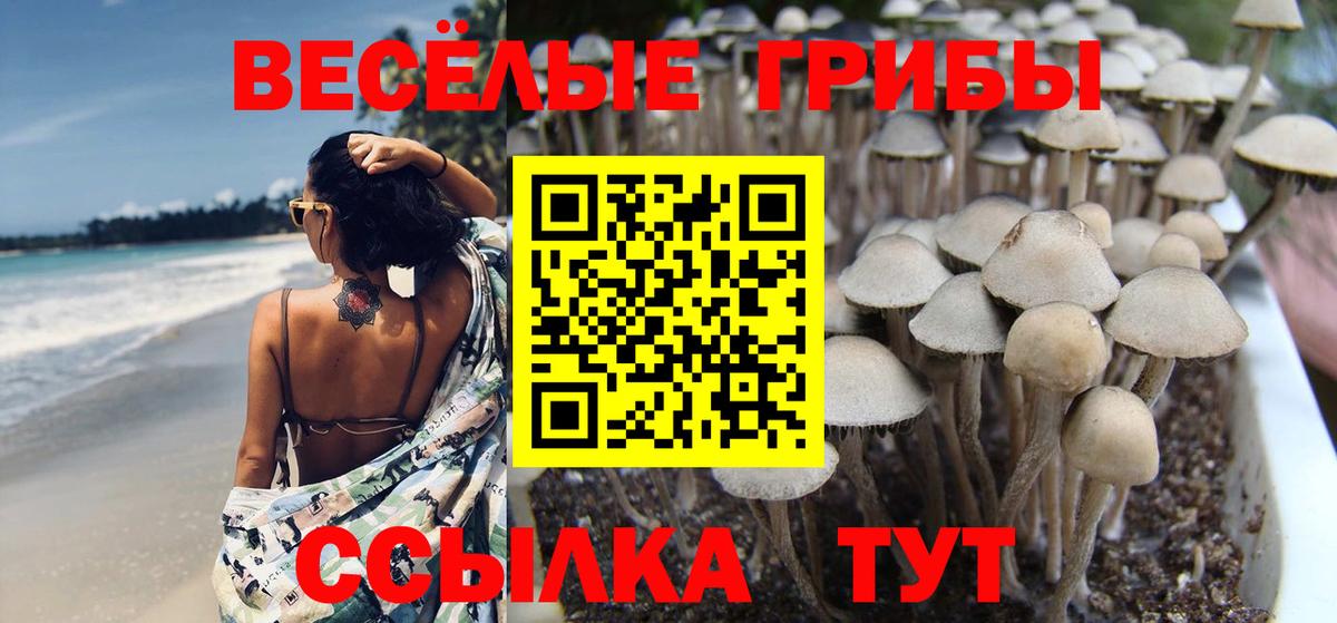 Псилоцибиновые грибы MAGIC MUSHROOMS Мурманск